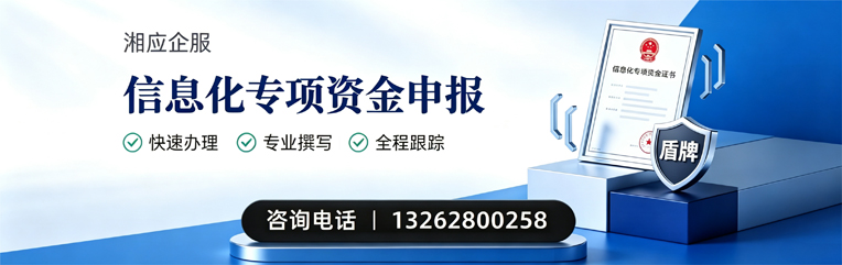 湛江信息化专项资金申报服务