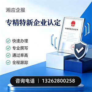 湛江专精特新企业申报服务