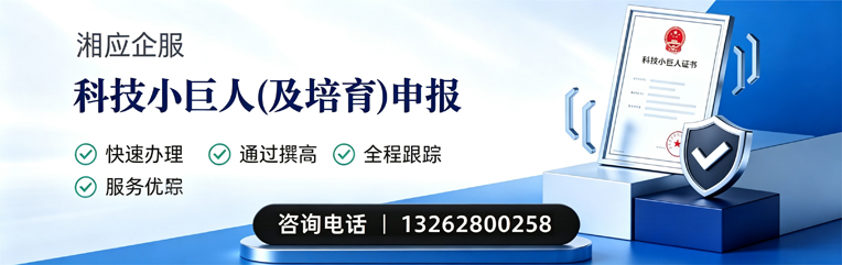 湛江科技小巨人及培育企业申报服务