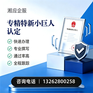 湛江专精特新小巨人申报服务