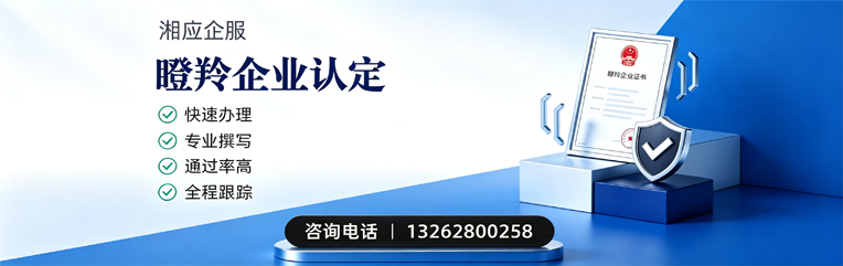 湛江瞪羚企业认定申报服务