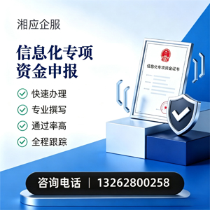 湛江信息化专项资金申报服务