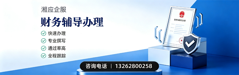 湛江财务辅导申请服务