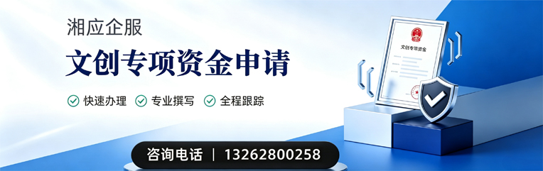 湛江文创专项资金申报服务