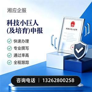 湛江科技小巨人及培育企业申报服务
