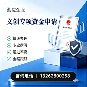 湛江文创专项资金申报服务