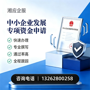 湛江中小企业发展专项资金申报服务