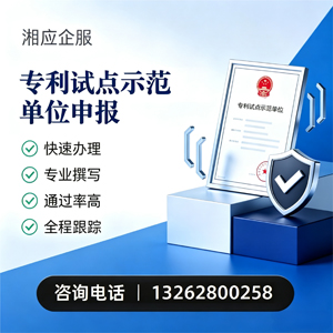 湛江专利试点示范单位申报服务