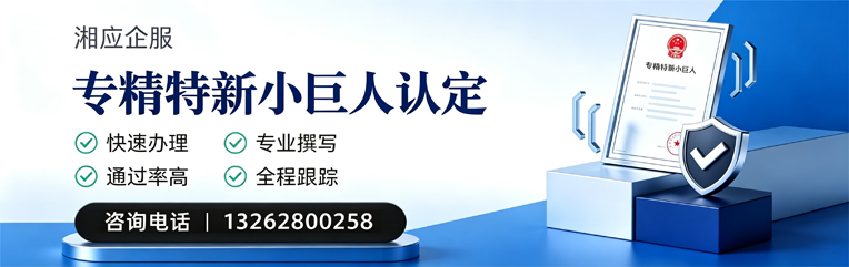 湛江专精特新小巨人申报服务